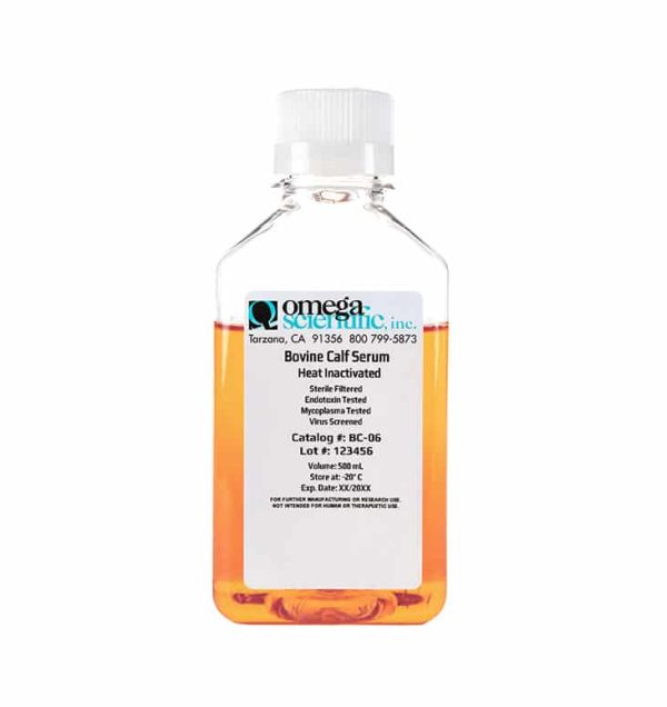 Bovine Calf Serum, Heat Inactivated (BC-06)