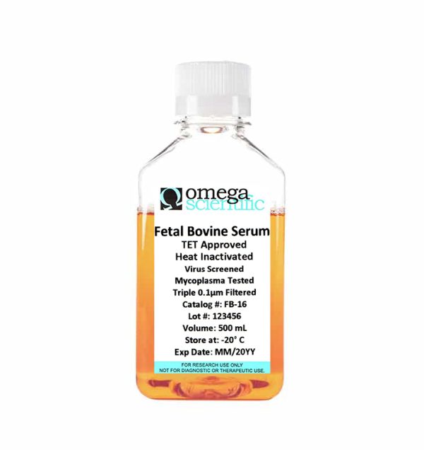 Fetal Bovine Serum, Tetracycline Approved, Heat Inactivated (FB-16)